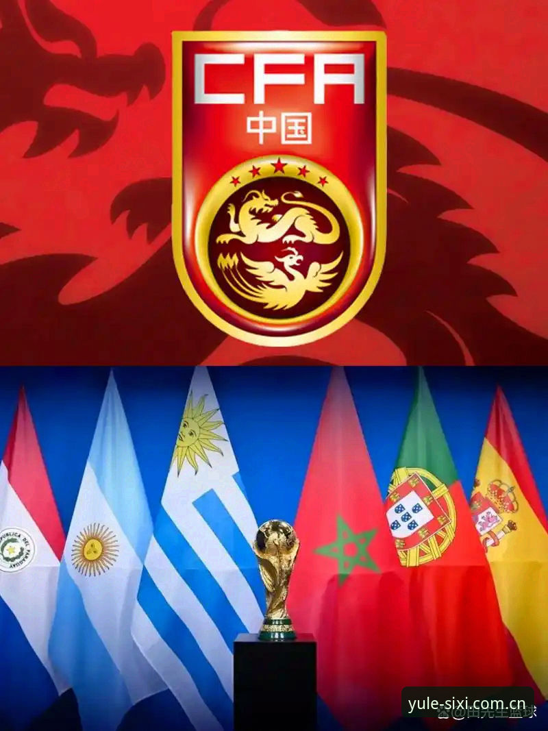 世界杯扩军至66队的实用指南——中国男足的机遇与四喜娱乐观赛新体验